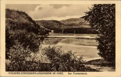 Ak Stolberg im Harz, Strassberg, Lindenberg, Frankenteich