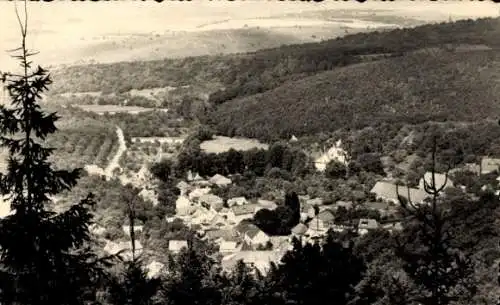 Ak Stecklenberg Thale im Harz, Gesamtansicht, Panorama