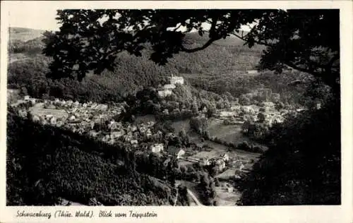 Ak Schwarzburg in Thüringen, Blick vom Trippstein