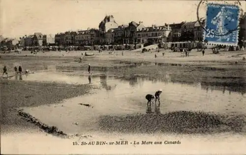 Ak Saint Aubin sur Mer Calvados, La Mare aux Canards