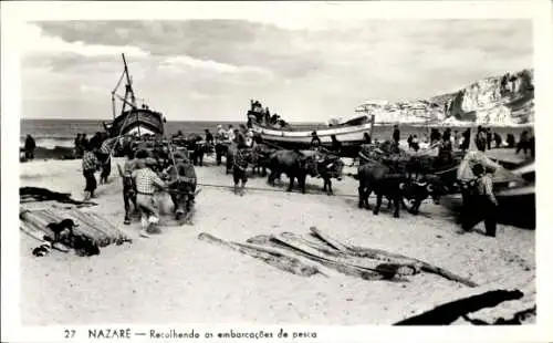 Ak Nazare Portugal, Recolhendo as embarcacoes de pesca, Einholen der Fischerboote mit Ochsen, Strand