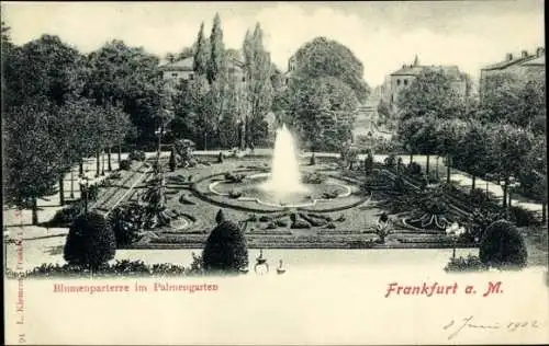 Ak Frankfurt am Main, Palmengarten, Blumenparterre