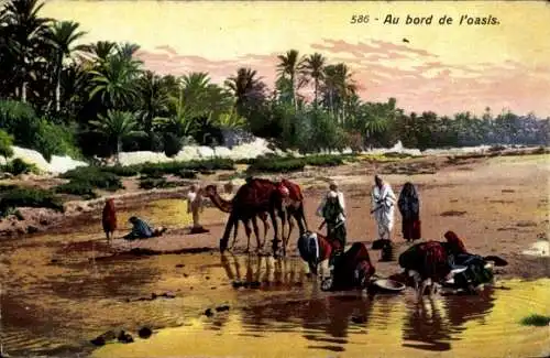 Ak Afrika, Au bord de l'oasis, Kamel