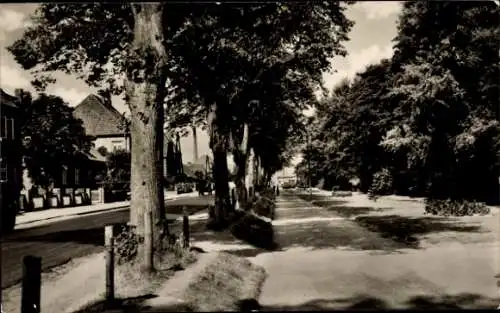 Ak Oldenburg in Holstein, Göhler Straße und Anlagen