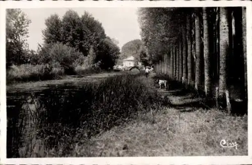 Ak Couhé Vérac Vienne, Vallée de la Dive, les Coteaux