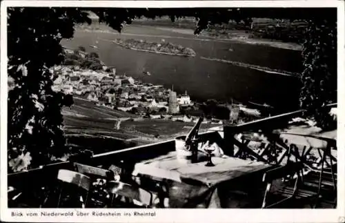 Ak Rüdesheim am Rhein, Gesamtansicht, Knusperhaus Terrasse am Niederwalddenkmal