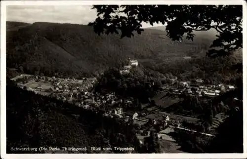 Ak Schwarzburg in Thüringen, Blick vom Trippstein