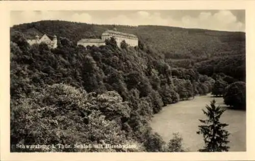 Ak Schwarzburg in Thüringen, Schloss, Hirschwiese