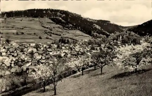 Ak Rauenstein in Thüringen, Blick vom Böhl