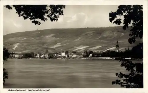 Ak Rüdesheim am Rhein, Gesamtansicht, Niederwald Nationaldenkmal