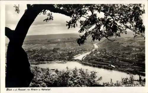 Ak Rüdesheim am Rhein, Blick von der Rossel, Rheintal, Nahetal, Bingen