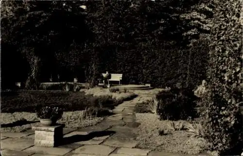 Ak Dresden Pillnitz, Irrgarten im Schlosspark