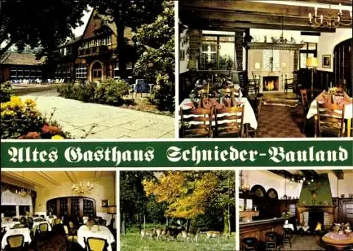 Ak Coesfeld im Münsterland Westfalen, Gasthaus Schnieder-Bauland, Sirksfeld 10, Rotwild