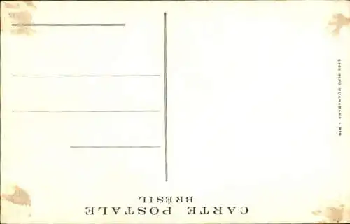 Ak Rio de Janeiro Brasilien, Avenida Rio Branco