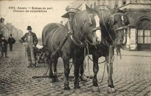 Ak Antwerpen Anvers Flandern, Scenes du port, Chevaux de corporations