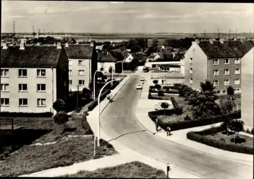 Ak Querfurt im Saalekreis, Bertha von Suttner Straße, Wohnhäuser