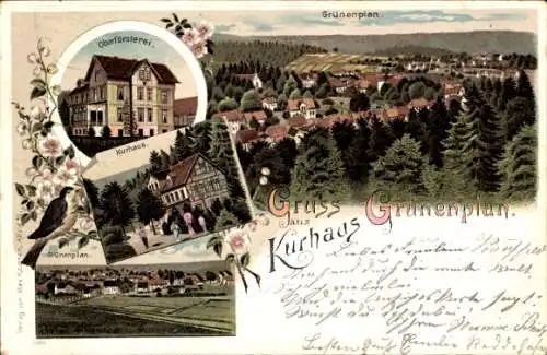 Litho Grünenplan Delligsen Niedersachsen, Kurhaus, Oberförsterei, Totalansicht