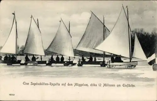 Ak Berlin Köpenick, Müggelsee, Segelschlitten-Regatta