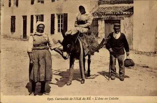 Ak Île de Ré Charente Maritime, Esel in Kniebundhosen