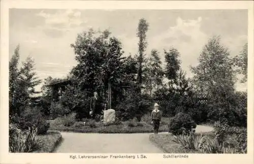 Ak Frankenberg in Sachsen, Kgl. Lehrerseminar, Schillerlinde