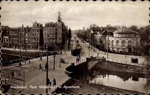 Ak Amsterdam Nordholland Niederlande, Pflanze, Middenlaan mit Aquarium