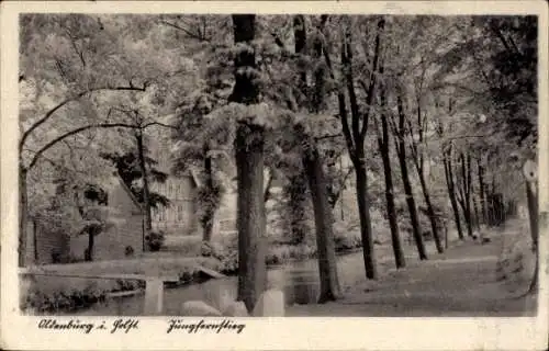 Ak Oldenburg in Holstein, Jungfernstieg