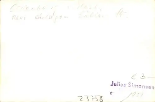 Ak Oldenburg in Holstein, neue Anlagen Sühler