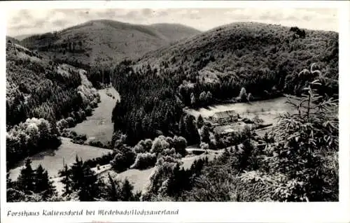 Ak Medebach im Sauerland, Forsthaus Kaltenscheid