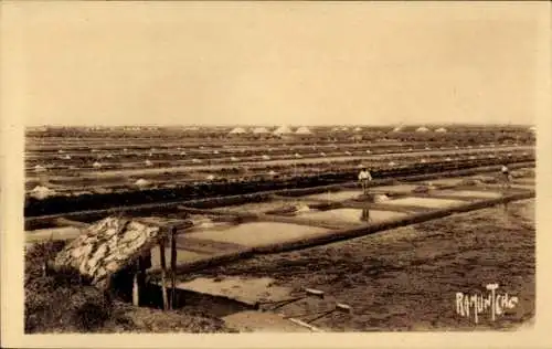 Ak Oléron Charente Maritime, Marais Salants