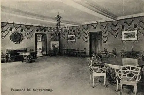 Ak Schwarzburg in Thüringen, Fasanerie, Innenansicht, Jagdtrophäen