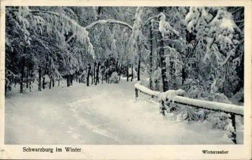 Ak Schwarzburg in Thüringen, Waldweg im Winter