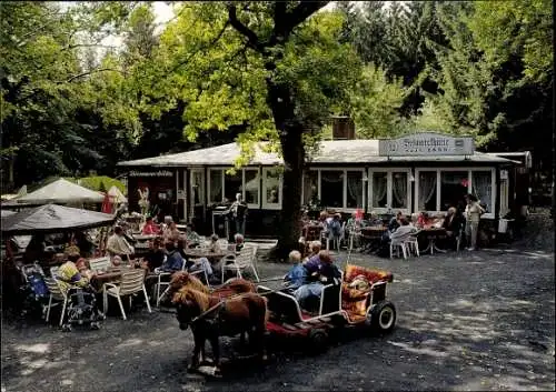 Ak Bad Rothenfelde am Teutoburger Wald, Bismarckhütte, Ponys