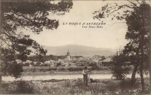 Ak La Roque d'Anthéron Bouches du Rhône, Vue Sous-Bois