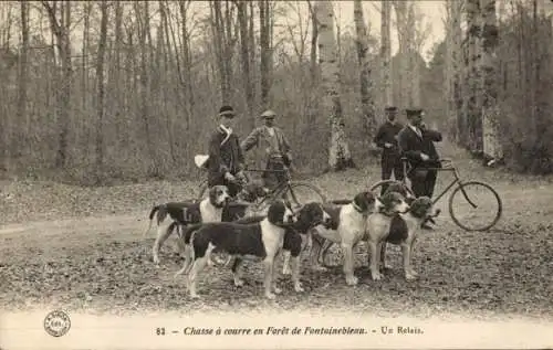 Ak Fontainebleau Seine et Marne, Chasse a cours en Foret, eine Staffel