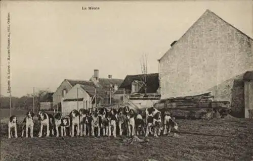 Ak Tours Indre et Loire, La Meute