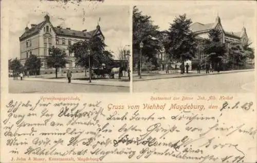 Ak Magdeburg an der Elbe, Viehof, Restaurant zur Börse