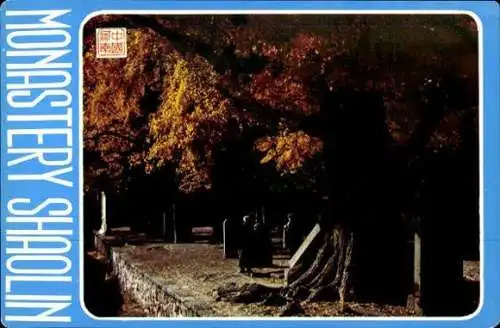 Set von 10 AK im Umschlag  Monastery Shaolin / Kloster Shaolin /Tempel Shaolin/ Kongfu