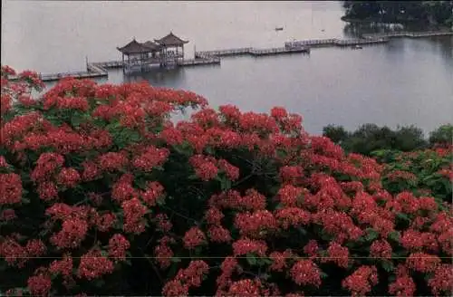 Set von 10 AK im Umschlag von Guangdong / Canton China 