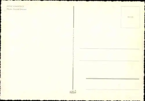 Ak Schauspielerin Jayne Mansfield, Pin Up, Dekolleté