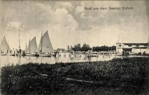 Ak Einfeld Neumünster in Holstein, Gesamtansicht, Segelboote