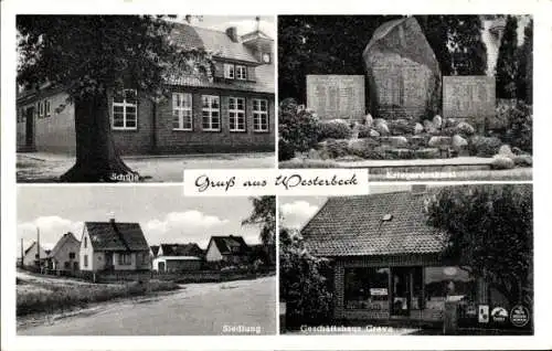 Ak Westerbeck Sassenburg im Landkreis Gifhorn, Schule, Siedlung, Kriegerdenkmal, Geschäftshaus