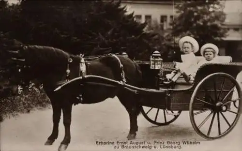 Ak Erbprinz Ernst August und Prinz Georg Wilhelm zu Braunschweig und Lüneburg, Kutsche