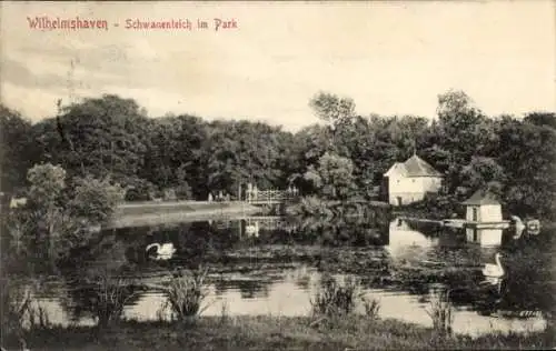 Ak Wilhelmshaven an der Nordsee, Teilansicht, Park, Schwanenteich