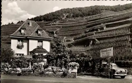 Ak Marienthal Dernau an der Ahr, Weinhaus Josef Gilles, Weinstöcke