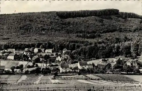 Ak Glashütte Schieder Schwalenberg in Lippe, Panorama