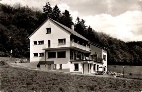 Ak Freienohl Meschede im Sauerland, Hotel Pension Waldterrassen