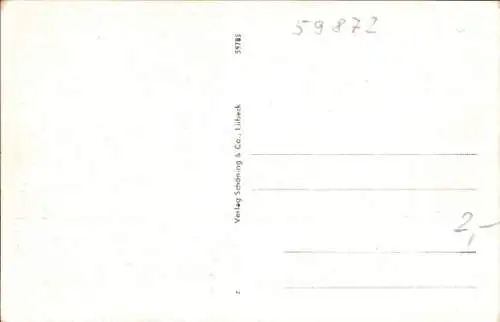 Ak Meschede im Sauerland, Rundblick, Panorama