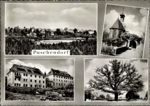 Ak Puschendorf, Gesamtansicht, Kirche, Baum