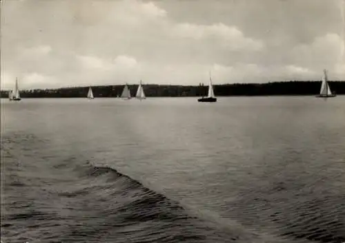 Ak Bad Saarow in der Mark, Scharmützelsee, Segelboote