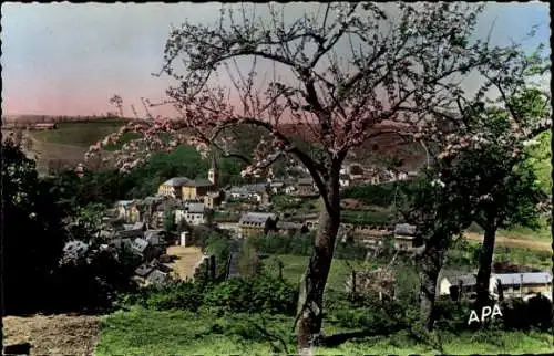 Ak Rodez Aveyron, Vue sur le Monastere